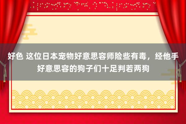 好色 这位日本宠物好意思容师险些有毒，经他手好意思容的狗子们十足判若两狗