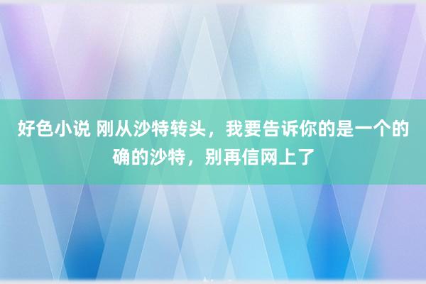 好色小说 刚从沙特转头，我要告诉你的是一个的确的沙特，别再信网上了