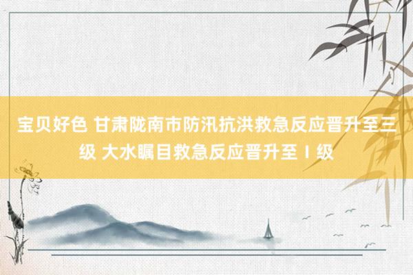 宝贝好色 甘肃陇南市防汛抗洪救急反应晋升至三级 大水瞩目救急反应晋升至Ⅰ级