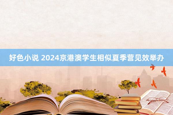 好色小说 2024京港澳学生相似夏季营见效举办