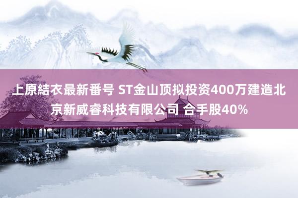 上原結衣最新番号 ST金山顶拟投资400万建造北京新威睿科技有限公司 合手股40%