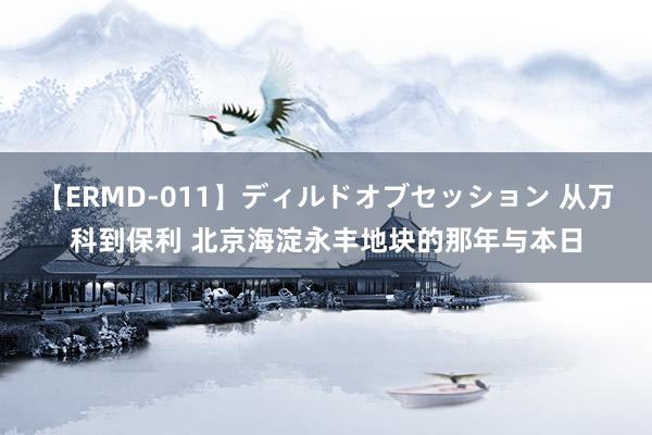 【ERMD-011】ディルドオブセッション 从万科到保利 北京海淀永丰地块的那年与本日