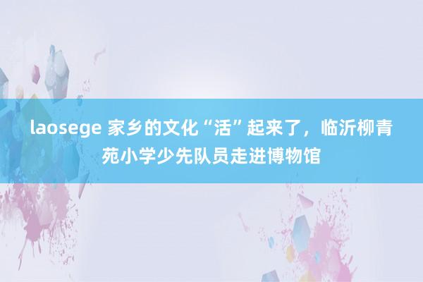 laosege 家乡的文化“活”起来了，临沂柳青苑小学少先队员走进博物馆