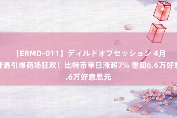 【ERMD-011】ディルドオブセッション 4月通胀降温引爆商场狂欢！比特币单日涨超7% 重回6.6万好意思元