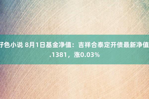 好色小说 8月1日基金净值：吉祥合泰定开债最新净值1.1381，涨0.03%