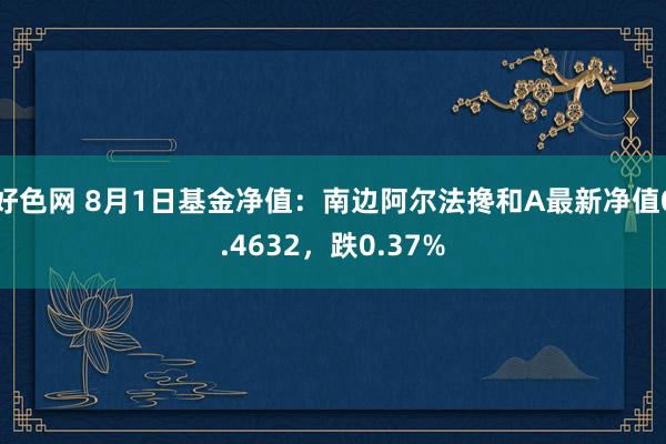 好色网 8月1日基金净值：南边阿尔法搀和A最新净值0.4632，跌0.37%