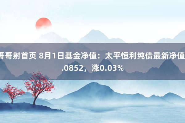 哥哥射首页 8月1日基金净值：太平恒利纯债最新净值1.0852，涨0.03%