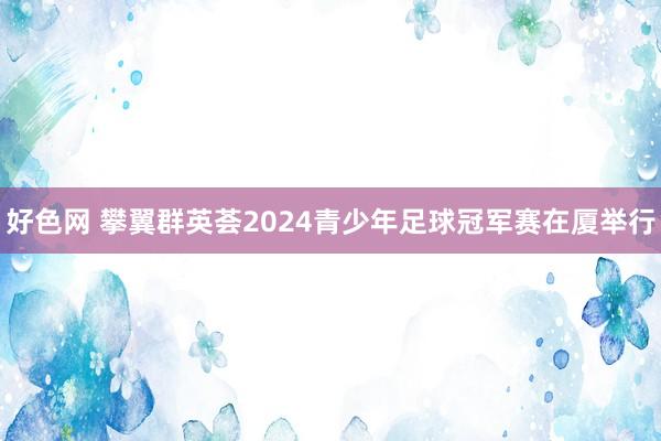 好色网 攀翼群英荟2024青少年足球冠军赛在厦举行