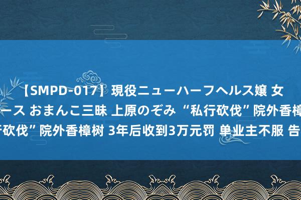 【SMPD-017】現役ニューハーフヘルス嬢 女だらけのスペシャルコース おまんこ三昧 上原のぞみ “私行砍伐”院外香樟树 3年后收到3万元罚 单业主不服 告状镇政府