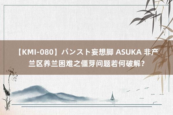 【KMI-080】パンスト妄想脚 ASUKA 非产兰区养兰困难之僵芽问题若何破解？