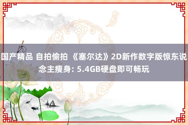 国产精品 自拍偷拍 《塞尔达》2D新作数字版惊东说念主瘦身: 5.4GB硬盘即可畅玩