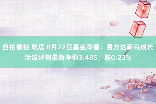 自拍偷拍 吃瓜 8月22日基金净值：易方达新兴成长活泼建树最新净值3.485，跌0.23%