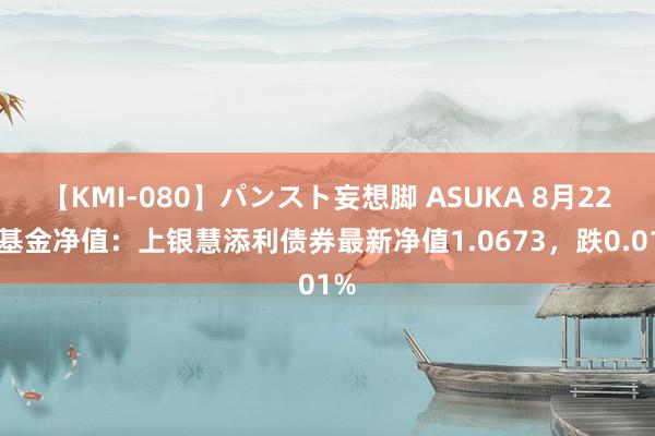 【KMI-080】パンスト妄想脚 ASUKA 8月22日基金净值：上银慧添利债券最新净值1.0673，跌0.01%