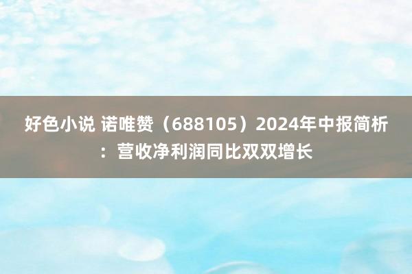 好色小说 诺唯赞（688105）2024年中报简析：营收净利润同比双双增长