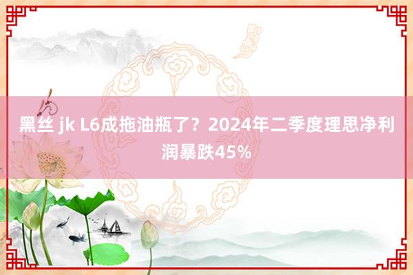 黑丝 jk L6成拖油瓶了？2024年二季度理思净利润暴跌45%