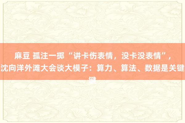 麻豆 孤注一掷 “讲卡伤表情，没卡没表情”，沈向洋外滩大会谈大模子：算力、算法、数据是关键