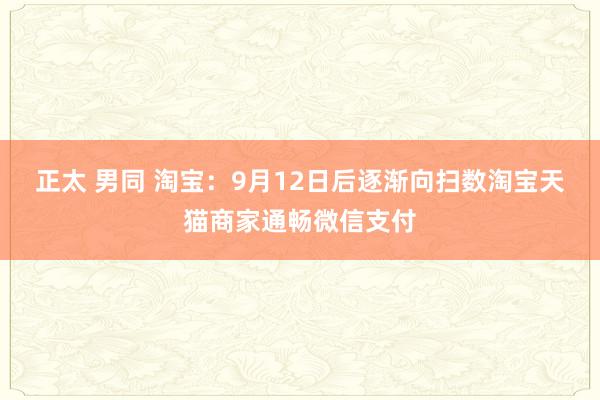 正太 男同 淘宝：9月12日后逐渐向扫数淘宝天猫商家通畅微信支付