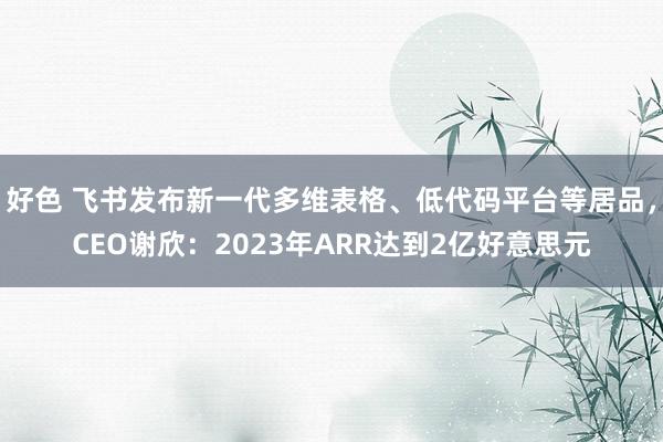 好色 飞书发布新一代多维表格、低代码平台等居品，CEO谢欣：2023年ARR达到2亿好意思元