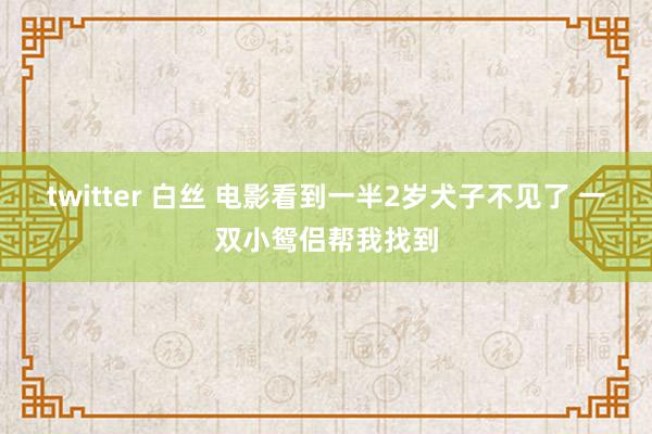 twitter 白丝 电影看到一半2岁犬子不见了 一双小鸳侣帮我找到