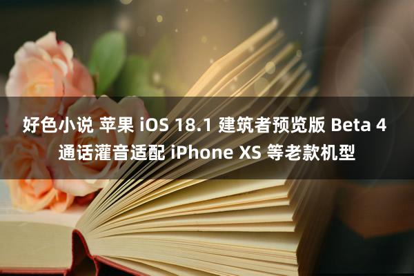 好色小说 苹果 iOS 18.1 建筑者预览版 Beta 4 通话灌音适配 iPhone XS 等老款机型