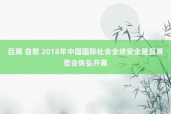 巨屌 自慰 2018年中国国际社会全球安全居品展览会恢弘开幕