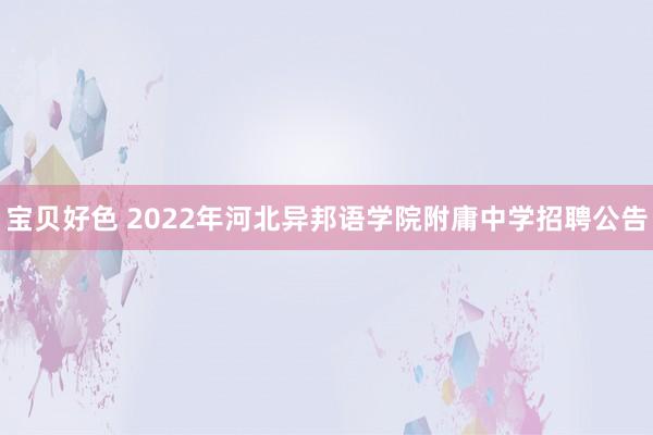 宝贝好色 2022年河北异邦语学院附庸中学招聘公告