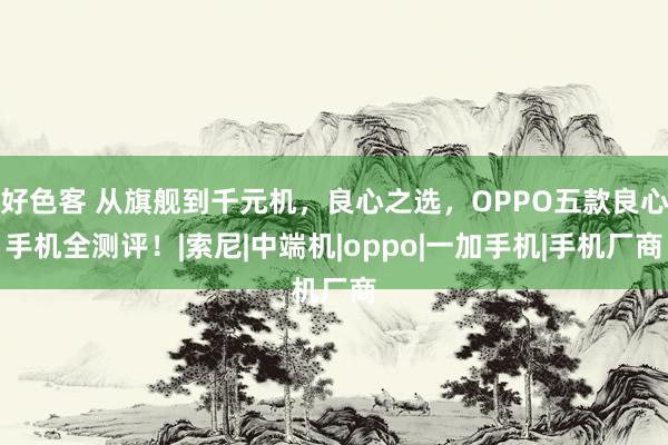 好色客 从旗舰到千元机，良心之选，OPPO五款良心手机全测评！|索尼|中端机|oppo|一加手机|手机厂商