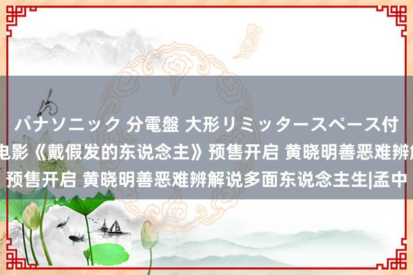 パナソニック 分電盤 大形リミッタースペース付 露出・半埋込両用形 电影《戴假发的东说念主》预售开启 黄晓明善恶难辨解说多面东说念主生|孟中